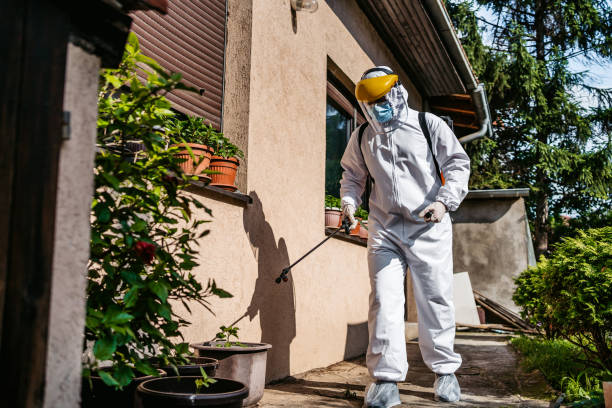 Professional Pest Control in Salem, NC