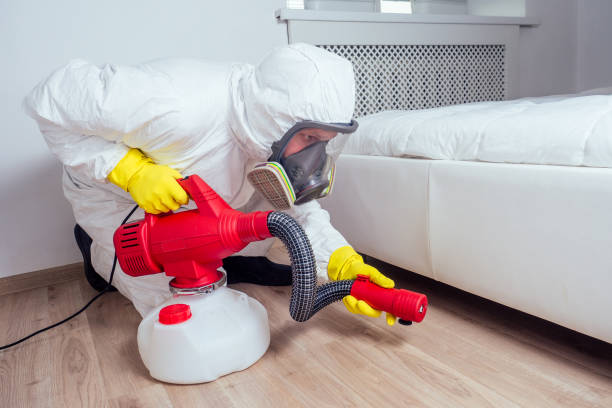 Reliable Salem, NC Pest Control Solutions